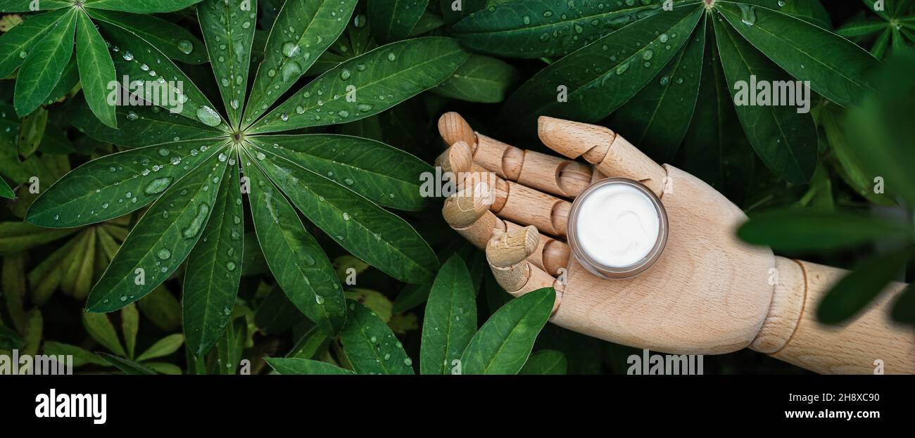 Cosmetici naturali, crema su mano di legno, piante verdi di sfondo Foto Stock