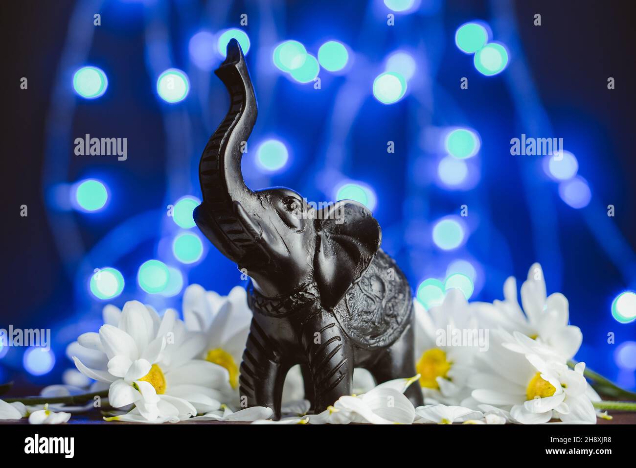 Figura di un elefante in daisy flovers su sfondo bleu. Figurina di elefante di pietra nera tra camomilla Foto Stock