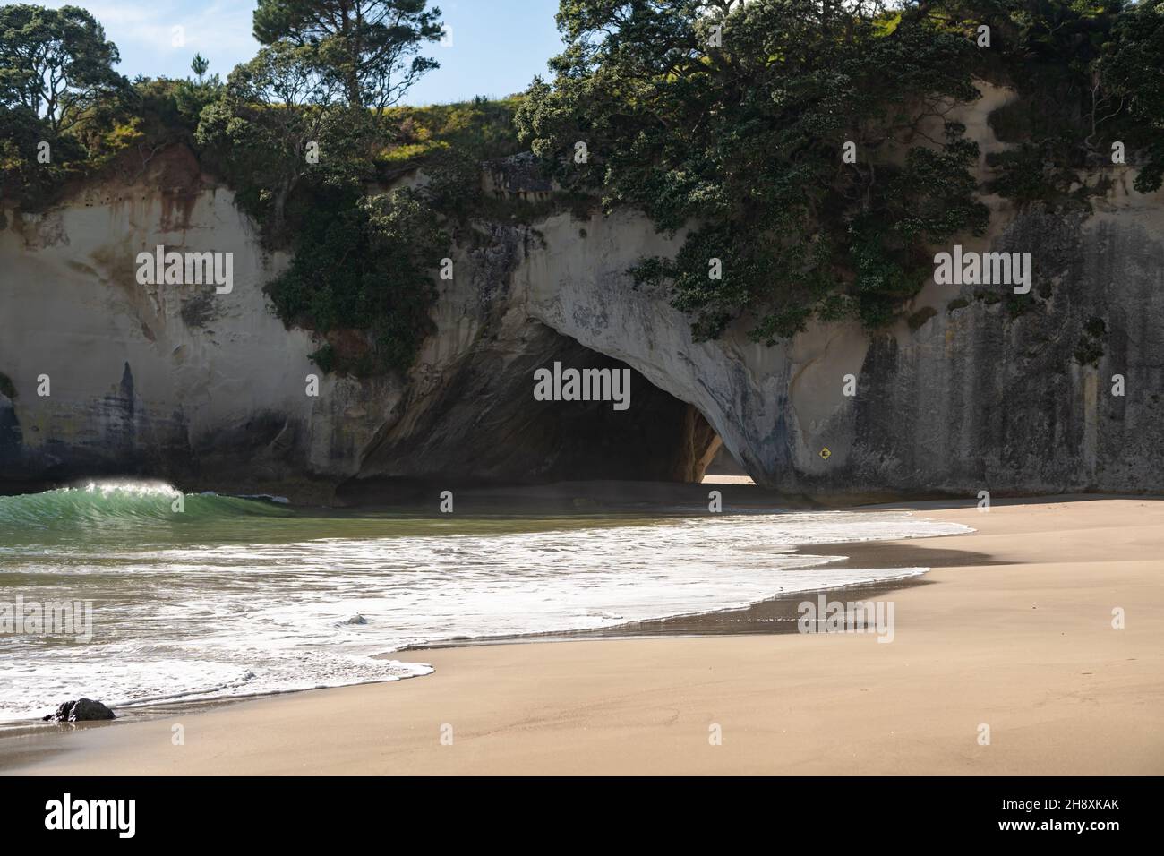 Cathedral Cove nella penisola di Coromandel. Nuova Zelanda, Isola del Nord. Foto Stock