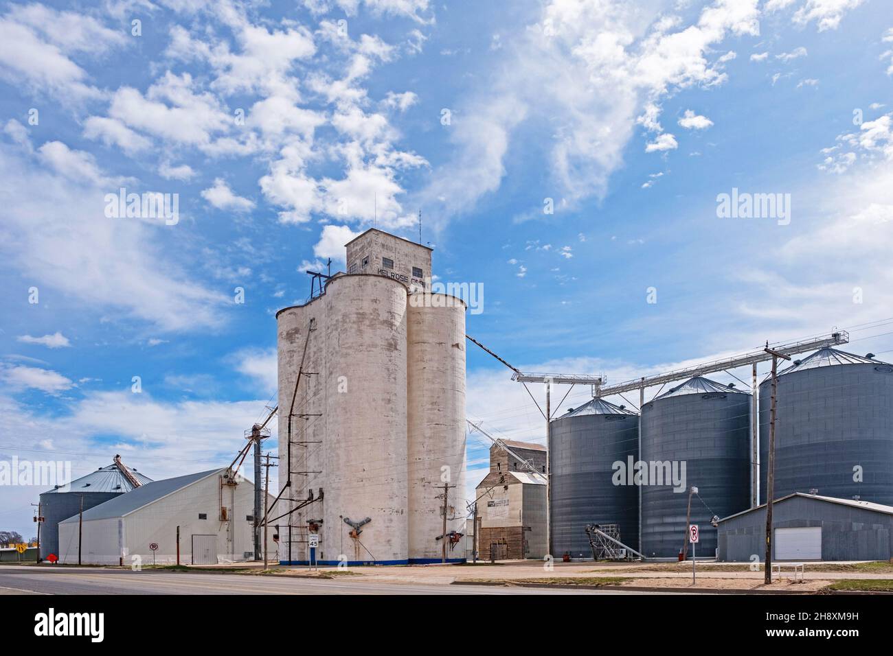 Silos collegato ad un elevatore di grano su una fattoria vicino al villaggio Melrose in Curry County, New Mexico, Stati Uniti / USA Foto Stock