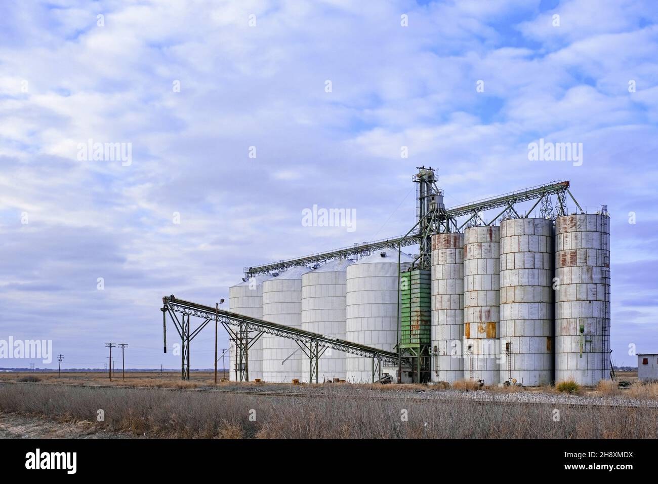 Silos collegato ad un elevatore di grano nel Texas orientale, Stati Uniti / Stati Uniti Foto Stock