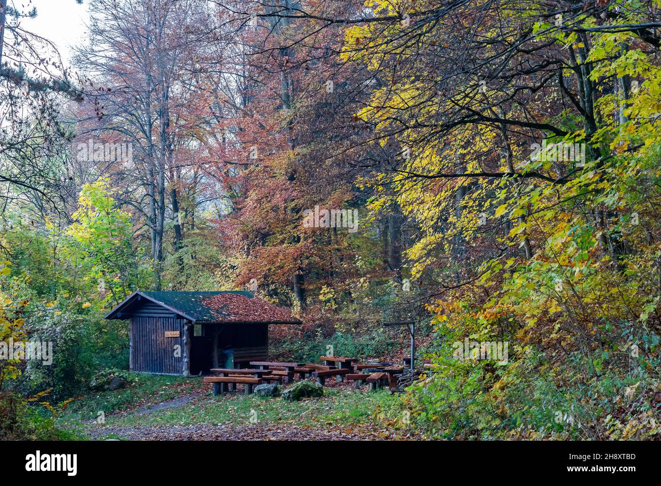 Capanna di legno con panchine nella foresta Foto Stock