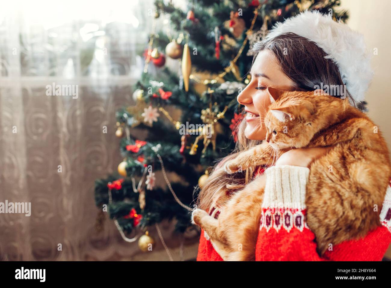 Celebrazione della Messa di Natale con cat. Donna giocando e abbracciando il pet in Santa's hat dal nuovo anno albero a casa. Foto Stock