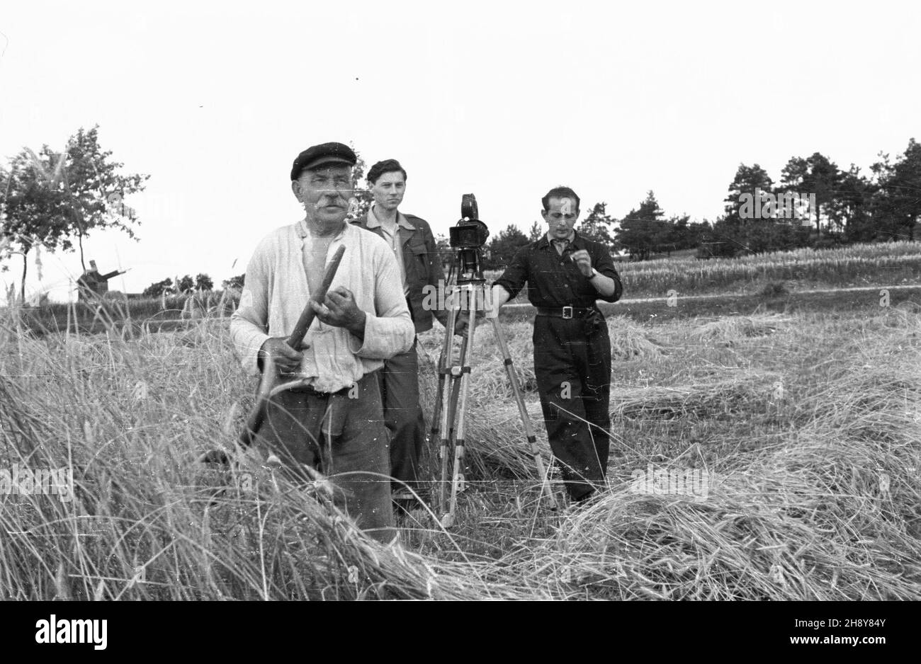 Nieszawa, 1946-07-16. Rolnik kosi ¿yto podczas krêcenia przez pracowników Polskiej Kroniki Filmowej filmu o ¿niwach. Z prawej W³adys³aw Forbert, obok Mieczys³aw Wiesio³ek, operatorzy PKF. Gr PAP/Bogus³aw Lambach Dok³adny miesi¹c i dzieñ wydarzenia nieustalone. Nieszawa, 16 luglio 1946. Un agricoltore controlla l'idratazione dei semi di segale, mentre i cameramen del mulinello polacco sparano un documentario sulla raccolta delle colture. Da destra Wladyslaw Forbert con una macchina fotografica e accanto a lui cameraman Mieczyslaw Wiesiolek. Gr PAP/Boguslaw Lambach Foto Stock