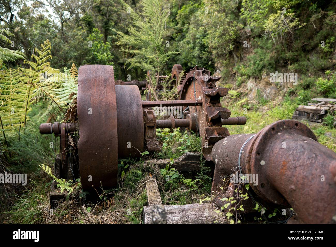 Attrezzatura mineraria abbandonata, pista da passeggio per miniere d'oro di te Aroha Mountain, Nuova Zelanda Foto Stock