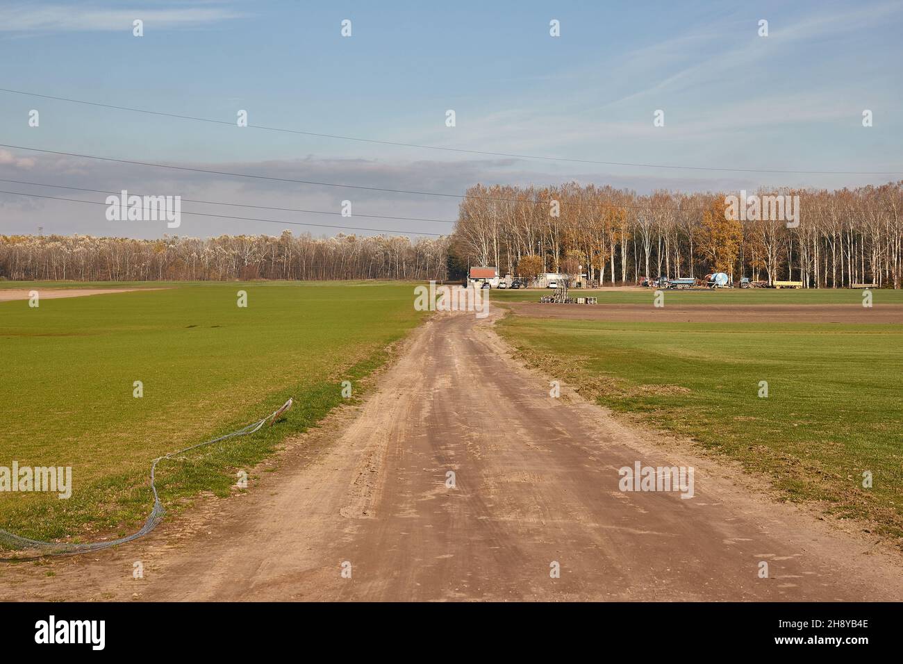 Campo Agircutural con strada sterrata Foto Stock
