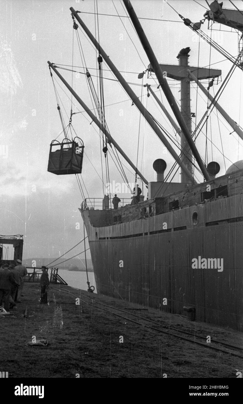 Szczecin, 1946-08. Wy³adunek koni zakupionych przez UNRRA (United Nations Relief and Rehabilitation Administration), w ramach tych dosaw przyby³o do Polski ju¿ ponad 37 tys. koni. Fare koñca roku bêdzie a 100 tys. koni, 100 tys. krów, 50 tys. œwiñ i 10 tys. Owiec. mw PAP/Jerzy Baranowski Dok³adny dzieñ wydarzenia nieustalony. Szczecin, 1946 agosto. Scarico di cavalli acquistati dall'UNRRA, l'Amministrazione delle Nazioni Unite per il soccorso e la riabilitazione. UNRRA ha inviato in Polonia più di 37,000 cavalli e entro la fine dell'anno il numero di animali da fattoria spediti totale 100,000 cavalli, 100,000 Foto Stock