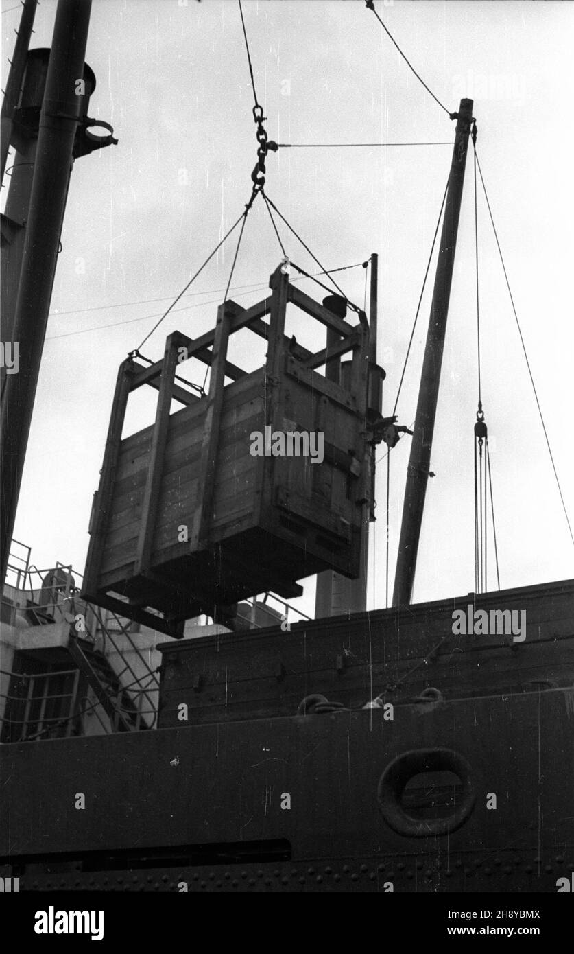 Szczecin, 1946-08. Wy³adunek koni zakupionych przez UNRRA (United Nations Relief and Rehabilitation Administration), w ramach tych dosaw przyby³o do Polski ju¿ ponad 37 tys. koni. Fare koñca roku bêdzie a 100 tys. koni, 100 tys. krów, 50 tys. œwiñ i 10 tys. owiec. Zwierzêta trafiaj¹ do polskich gospodarstw rolnych. NZ. Klatka z koniem unoszona przez dŸwig. mw PAP/Jerzy Baranowski Dok³adny dzieñ wydarzenia nieustalony. Szczecin, 1946 agosto. Scarico di cavalli acquistati dall'UNRRA, l'Amministrazione delle Nazioni Unite per il soccorso e la riabilitazione. UNRRA mandò in Polonia più di 37,000 cavalli Foto Stock