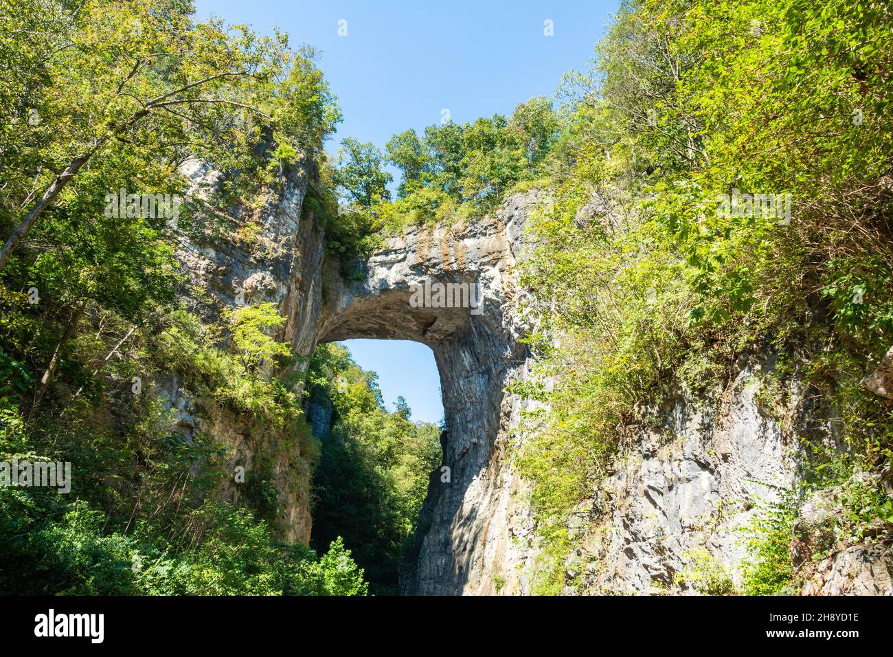 Formazione geologica del ponte naturale nella contea di Rockbridge, Virginia, comprendente un arco naturale alto 215 piedi (66 m) con una distanza di 90 piedi (27 m). Io Foto Stock