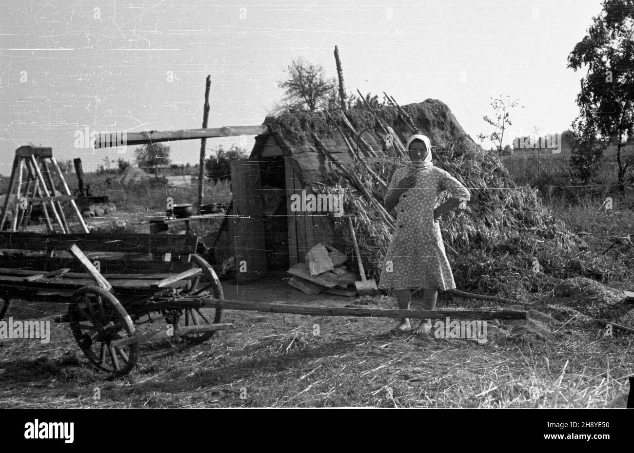 Okolice Warki, 1946-08-18. Wizyta delegacji Podkomisji ONZ do spraw Odbudowy Gospodarczej Terenów Zniszczonych w pasie zniszczeñ pod Wark¹. ps/gr PAP/Jerzy Baranowski Warka, 18 agosto 1946. I delegati della Commissione delle Nazioni Unite per la ricostruzione economica dei territori distrutti considerano le aree distrutte nei pressi di Warka. ps/gr PAP/Jerzy Baranowski Foto Stock