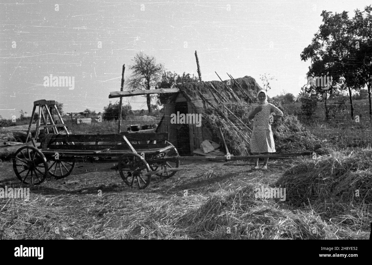 Okolice Warki, 1946-08-18. Wizyta delegacji Podkomisji ONZ do spraw Odbudowy Gospodarczej Terenów Zniszczonych w pasie zniszczeñ pod Wark¹. ps/gr PAP/Jerzy Baranowski Warka, 18 agosto 1946. I delegati della Commissione delle Nazioni Unite per la ricostruzione economica dei territori distrutti considerano le aree distrutte nei pressi di Warka. ps/gr PAP/Jerzy Baranowski Foto Stock