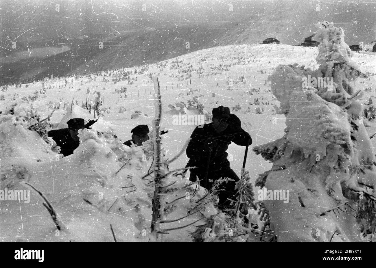 Polska, 1947. Wojsko Ochrony Pogranicza (WOP) patroluje pas granulzny Polsko - Czechos³owacki na terenie Gór Karkonoszy. Gr PAP Polonia, 1947. Una squadra di Guardia di confine (WOP) controlla il confine polacco-cecoslovacco ai Monti Karkonosze. Gr PAP Foto Stock