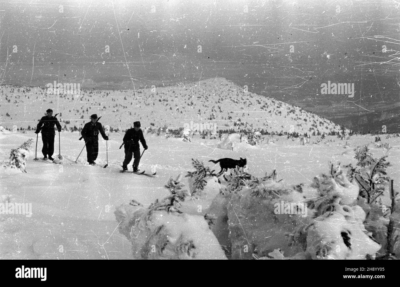 Polska, 1947. Wojsko Ochrony Pogranicza (WOP) patroluje pas granulzny Polsko - Czechos³owacki na terenie Gór Karkonoszy. Gr PAP Polonia, 1947. Una squadra di Guardia di confine (WOP) controlla il confine polacco-cecoslovacco ai Monti Karkonosze. Gr PAP Foto Stock