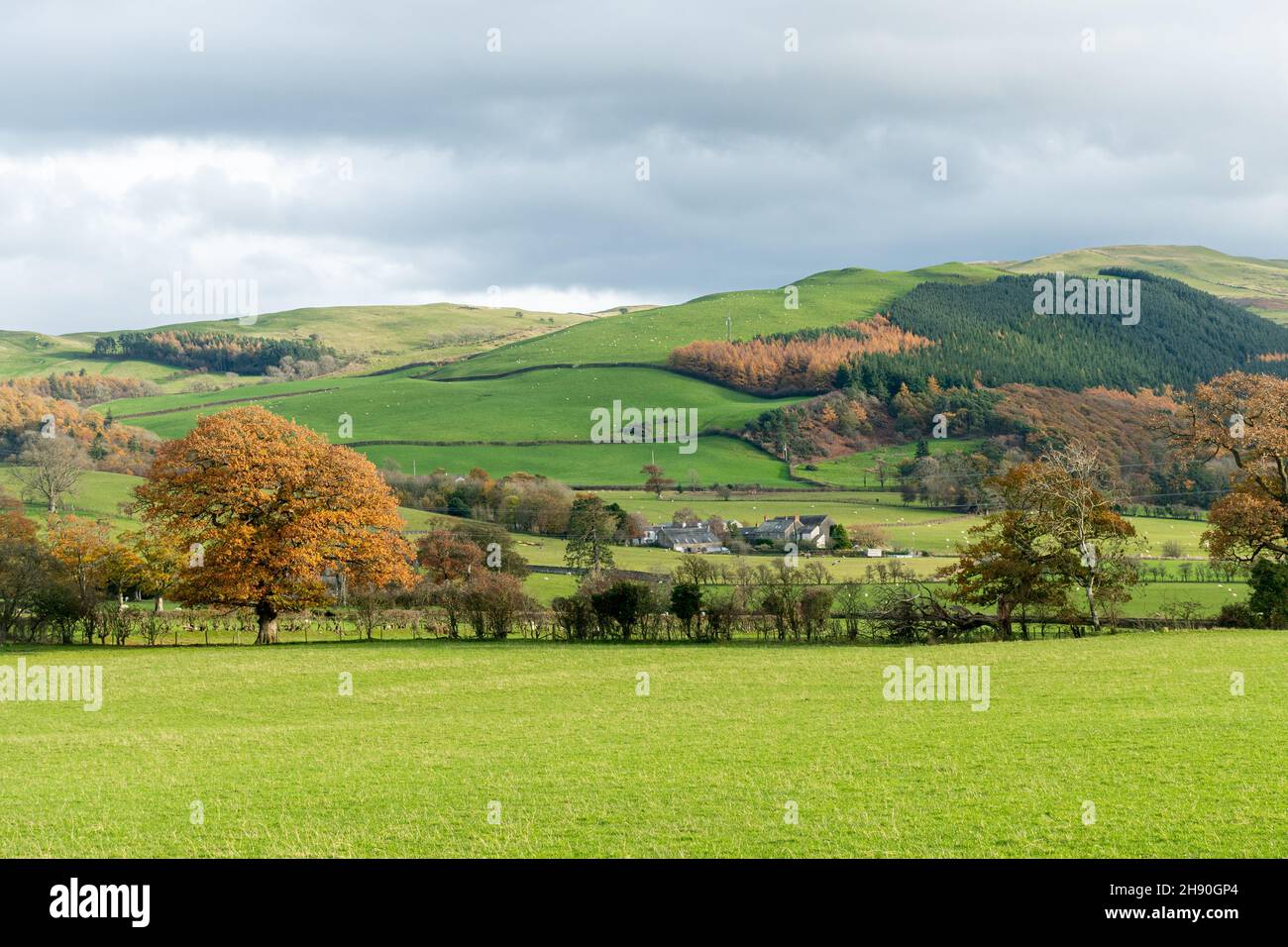 Vista autunnale dalla Whinyquest Pass Road nel Lake District National Park durante il mese di novembre, Cumbria, Inghilterra, Regno Unito Foto Stock