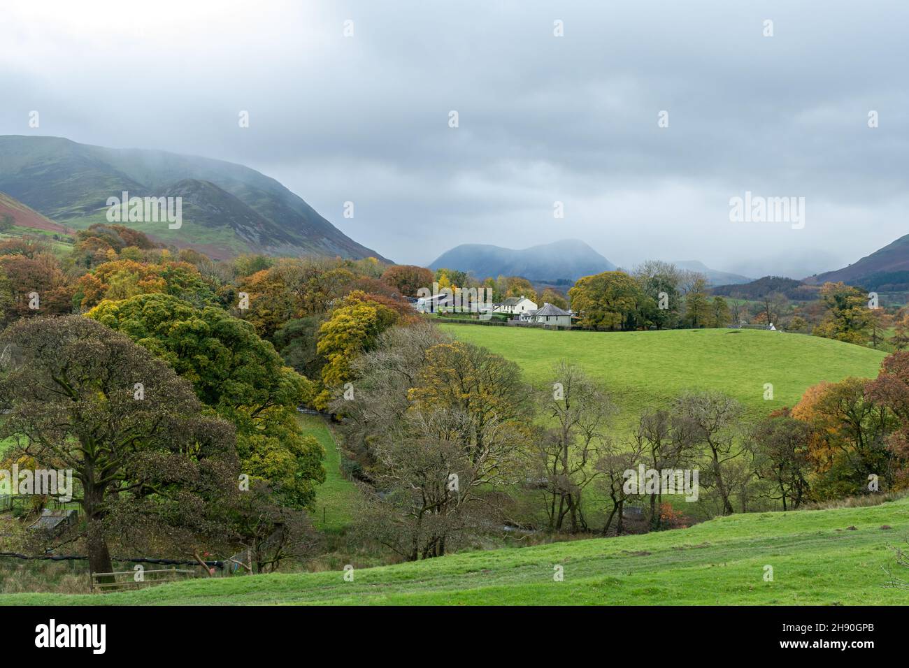 Vista autunnale dalla Whinyquest Pass Road nel Lake District National Park durante il mese di novembre, Cumbria, Inghilterra, Regno Unito Foto Stock