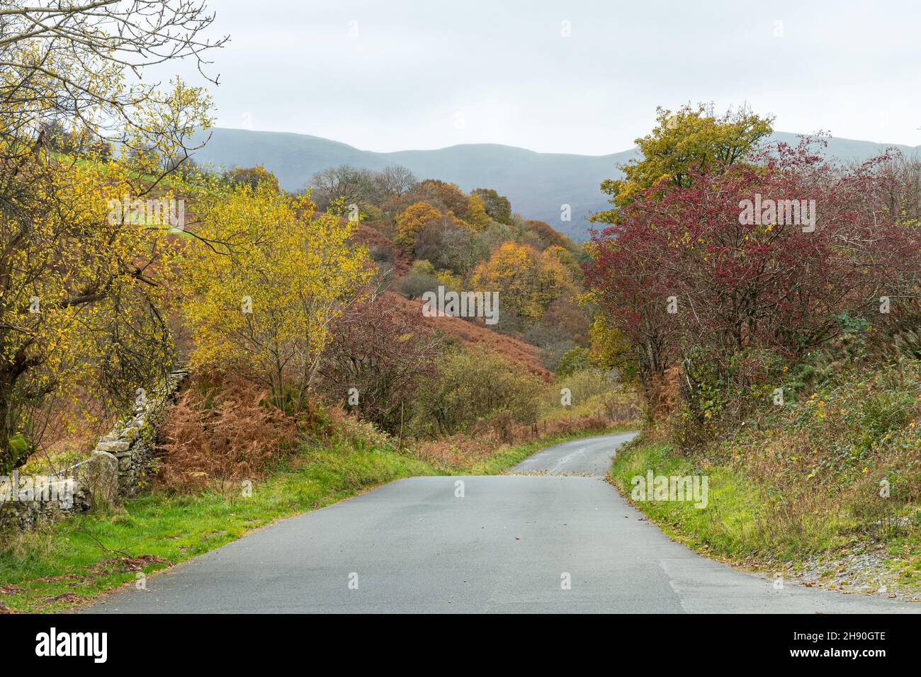 Vista autunnale lungo la strada del Whinlquest Pass nel Lake District National Park durante il mese di novembre, Cumbria, Inghilterra, Regno Unito Foto Stock