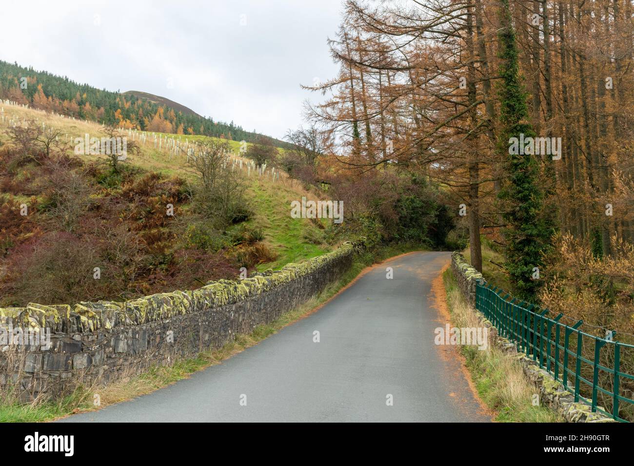 Vista autunnale lungo la Whinyquest Pass Road nel Lake District National Park durante il mese di novembre, Cumbria, Inghilterra, Regno Unito Foto Stock