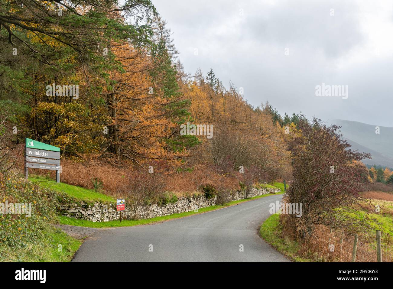 Vista autunnale al Whinarquest Pass nel Lake District National Park durante il mese di novembre, Cumbria, Inghilterra, Regno Unito Foto Stock