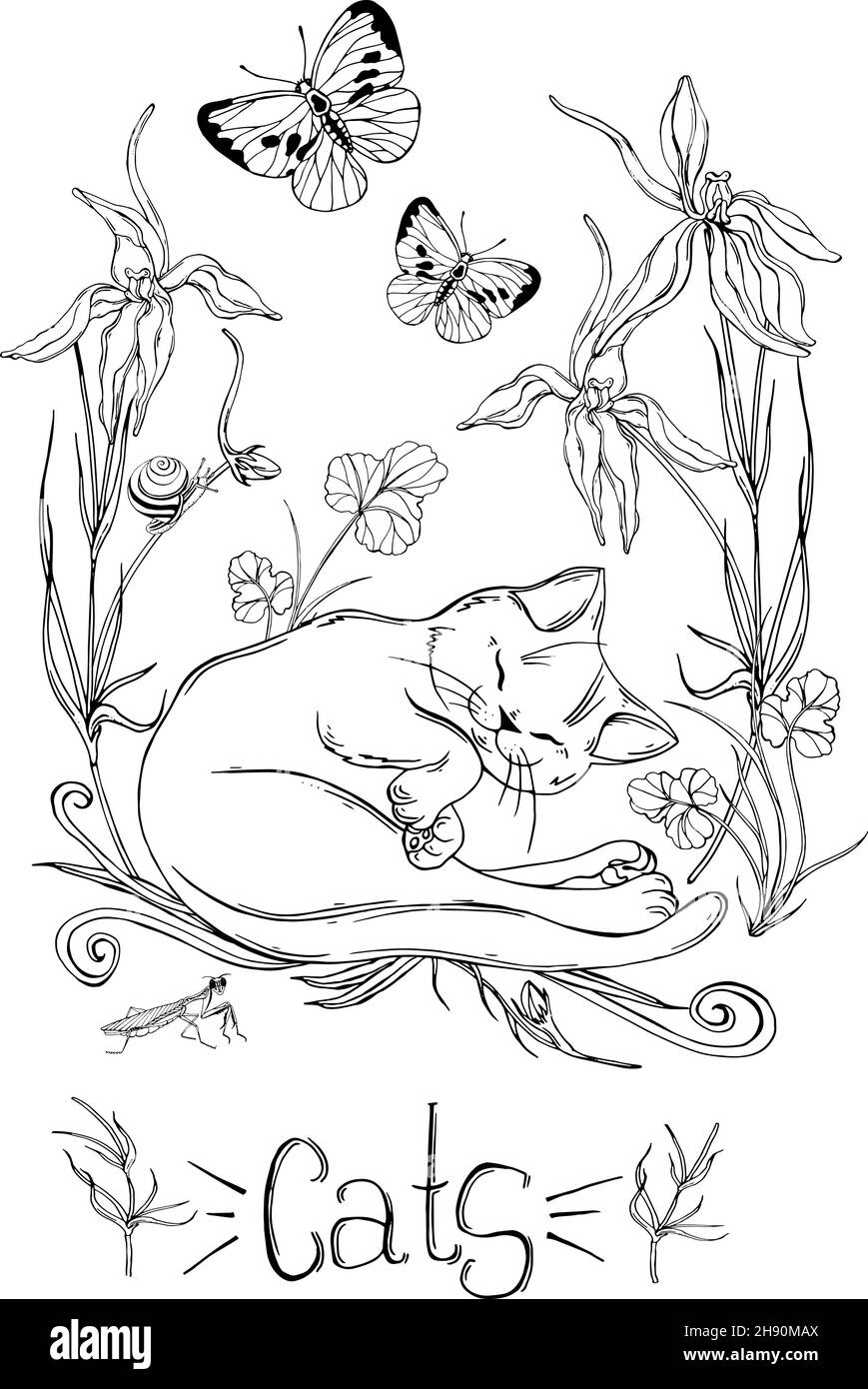 gatto grafico con fiori selvatici con insetti Illustrazione Vettoriale