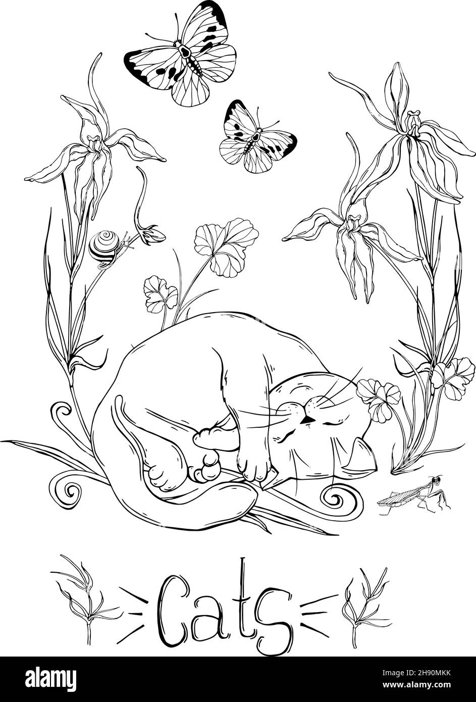 gatto grafico con fiori selvatici con insetti Illustrazione Vettoriale