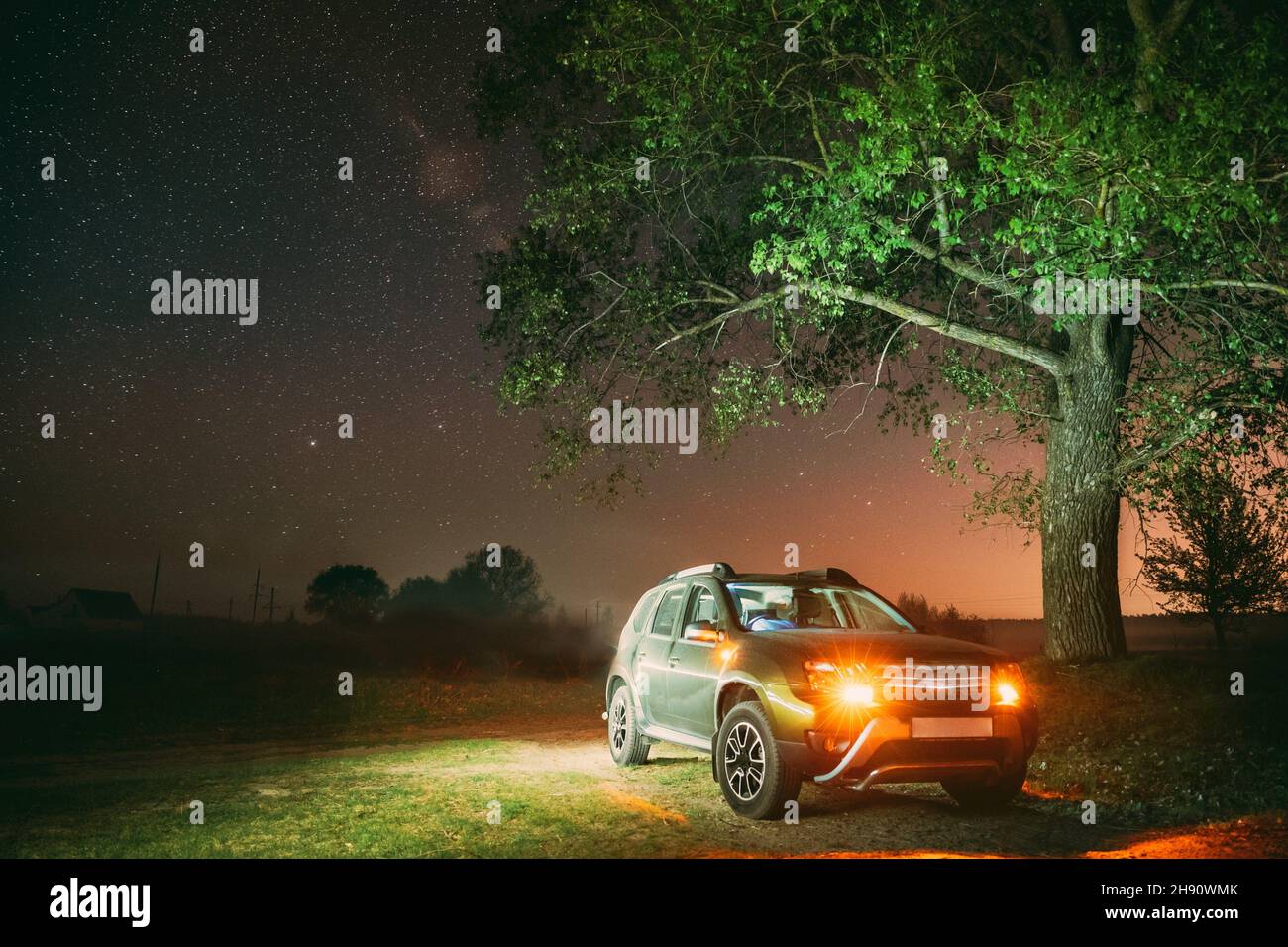 Notte cielo stellato sopra di SUV auto parcheggiata vicino ad albero  solitario nella foresta di notte. Le luci del tramonto Foto stock - Alamy