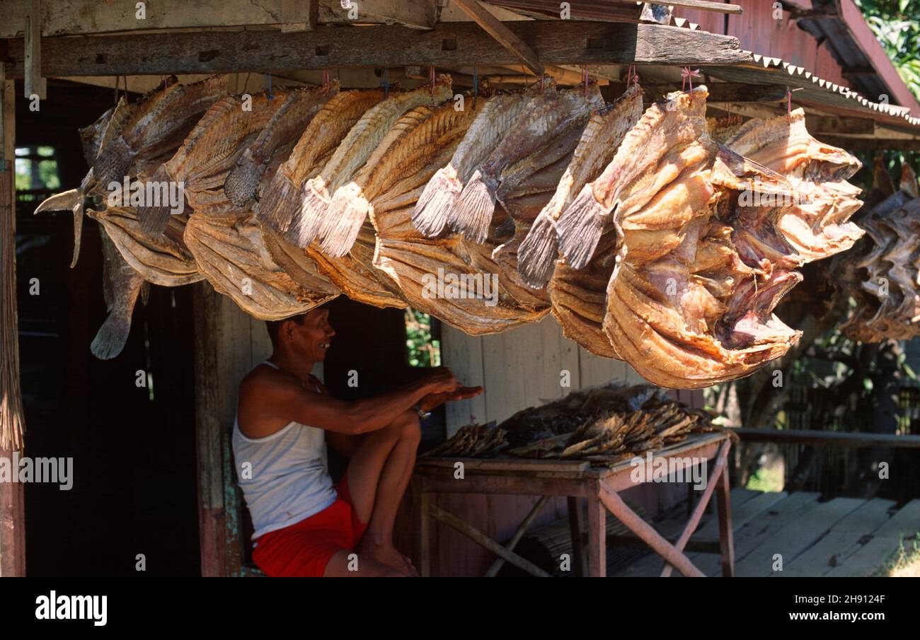 Rantepao. Vendita di pesce secco. Tana Toraja, Sulawesi, Indonesia. Foto Stock
