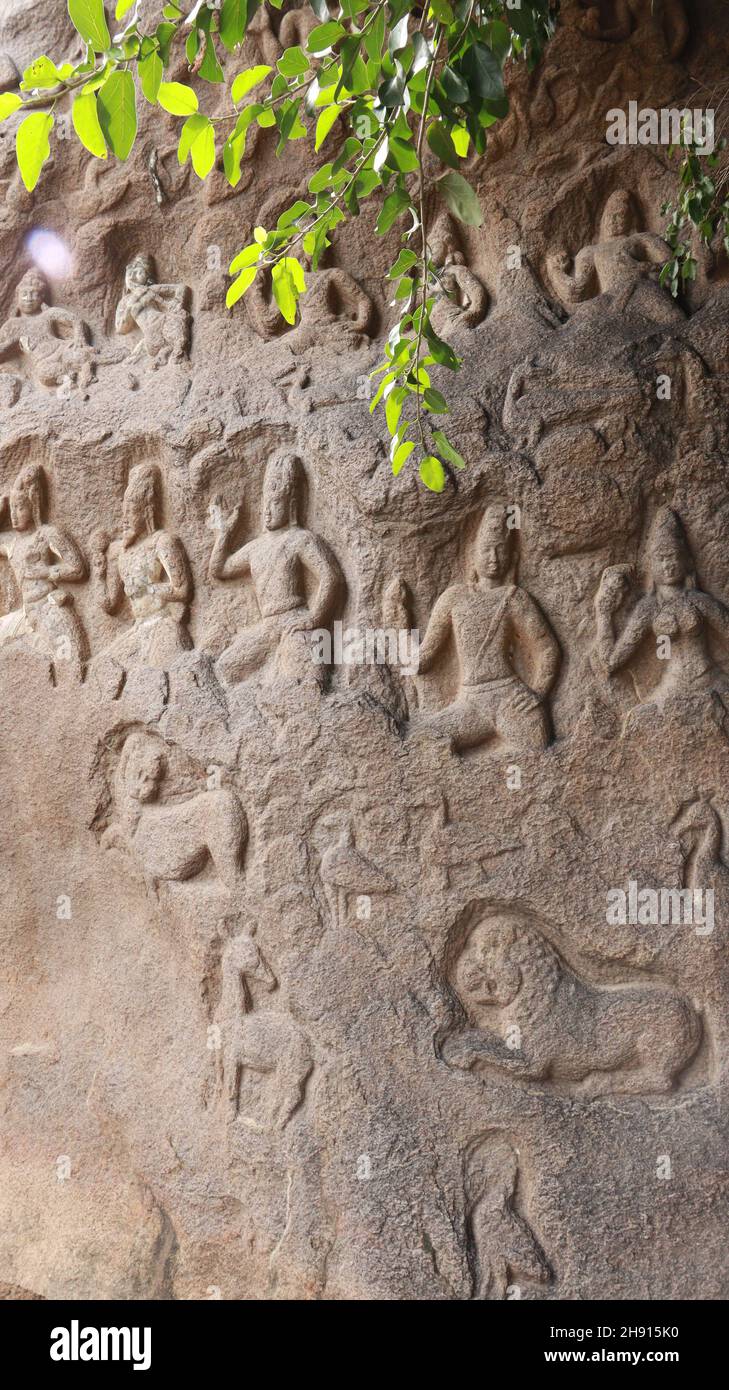 La discesa del Gange, conosciuta anche come Penitenza di Arjuna, a Mahabalipuram, è uno dei più grandi rilievi rocciosi in Asia e presenta in diversi indù Foto Stock