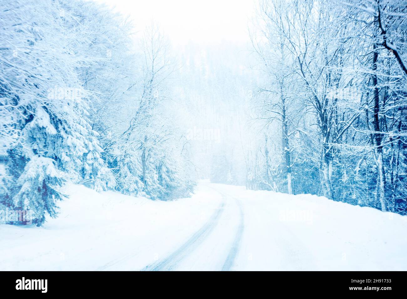 Strada invernale fredda e nevosa in montagna con sempreverdi blu durante la tempesta di neve. Foto Stock