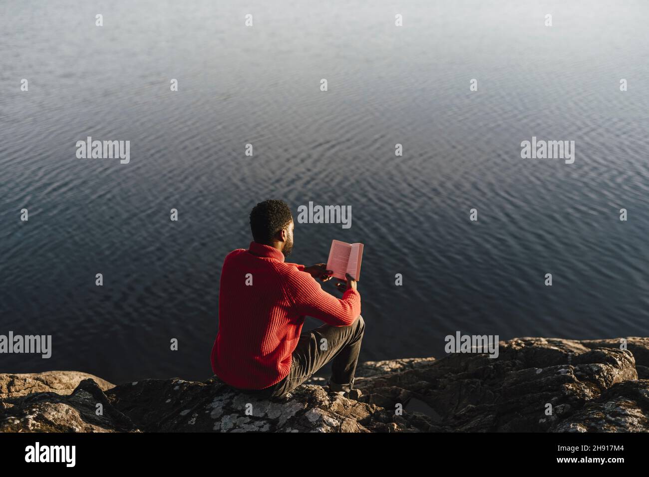 Vista posteriore di uomo lettura libro mentre si siede su roccia a Lakeshore Foto Stock