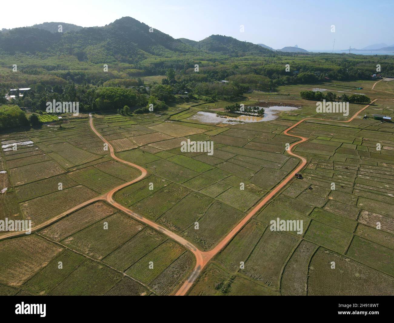 Veduta aerea di Rice PADI, Ko Yao noi, Provincia di Phang-nga, Thailandia Foto Stock