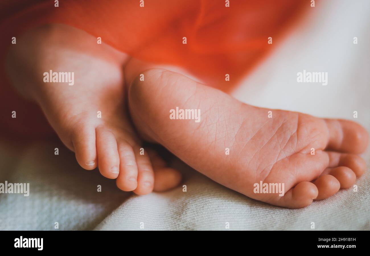 Gambe di un neonato. Piedi del bambino coperti con coperta rossa. Il piede più piccolo di un neonato con messa a fuoco selettiva morbida. Foto di alta qualità Foto Stock