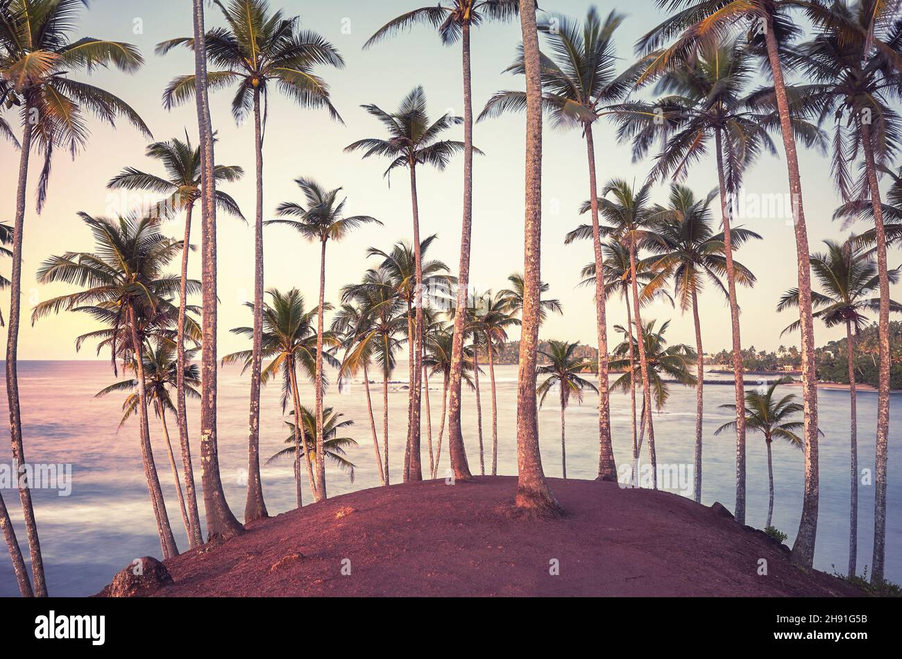 Isola tropicale con palme da cocco all'alba, lunga esposizione, tonificante applicato, Sri Lanka. Foto Stock
