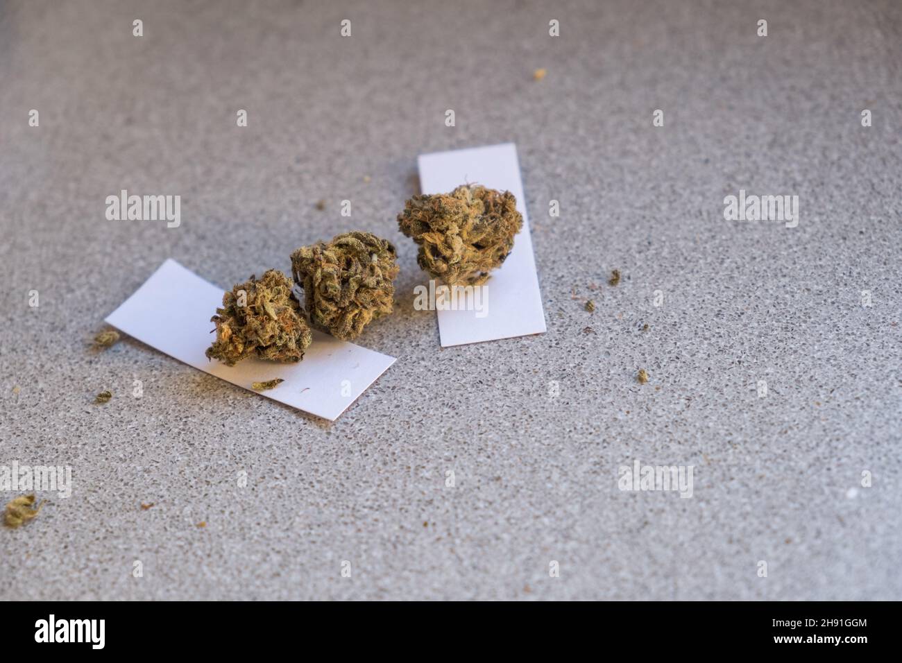 germogli di fiori cannabis, marijuana, erbaccia dall'alto visualizza spazio copia da vicino. Foto Stock