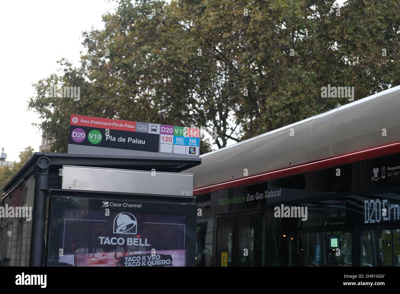 Barcellona, Spagna - 5 novembre 2021: Fermata dell'autobus a Barcellona. Trasporto pubblico, editoriale illustrativo. Foto Stock