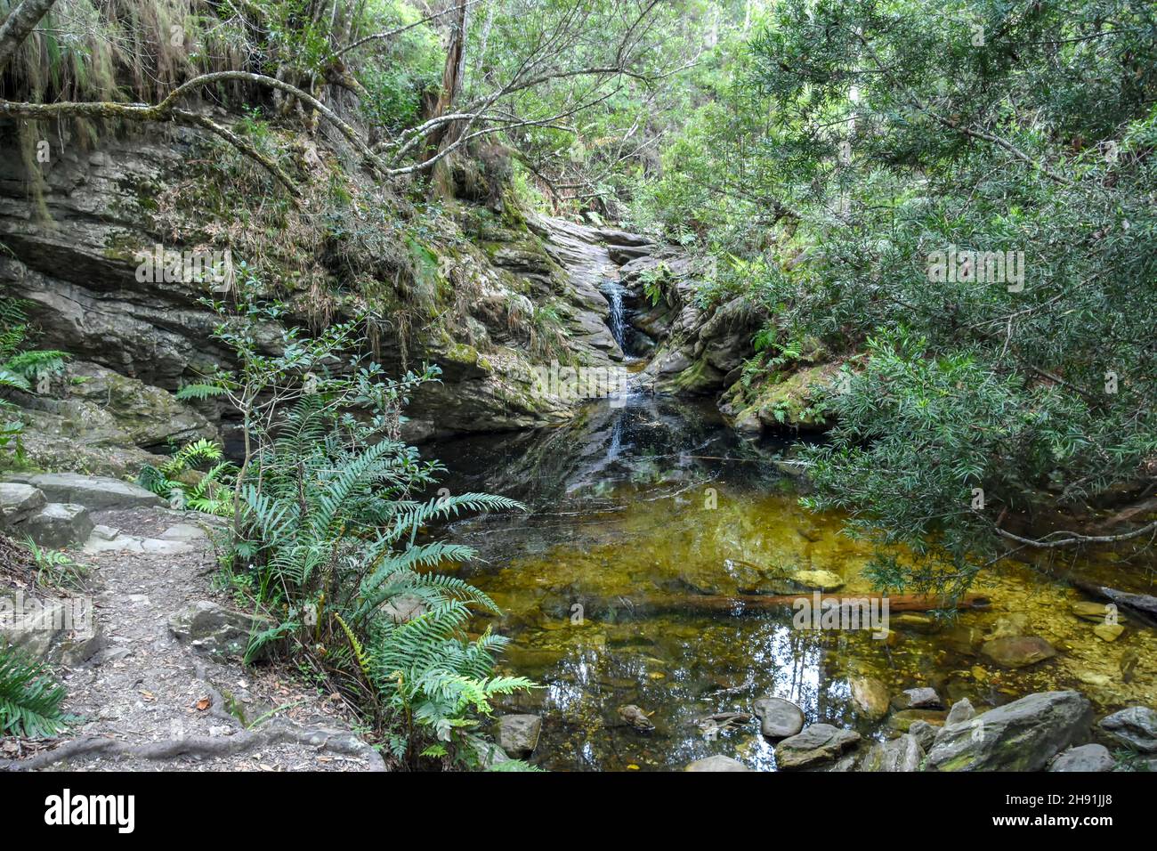 Cascata nella foresta sul popolare sentiero escursionistico Jubilee Creek a Knysna sulla strada del giardino in Sud Africa con il suo torrente e minerario storico si Foto Stock