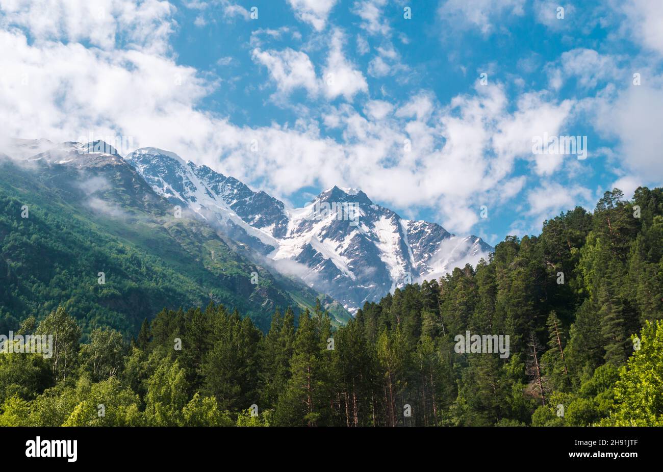 Vette innevate nella giornata estiva soleggiata con il cielo blu e le nuvole sullo sfondo, erba verde di fronte. Bellissimo paesaggio delle montagne del Caucaso. Foto Stock