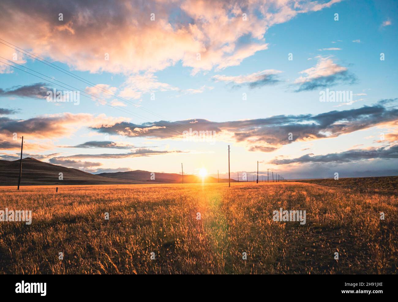 Paesaggio rurale mozzafiato. Tramonto sul campo di grano dorato. Cielo blu con spettacolari nuvole al tramonto. Il sole si abbassa. Estate. Foto Stock