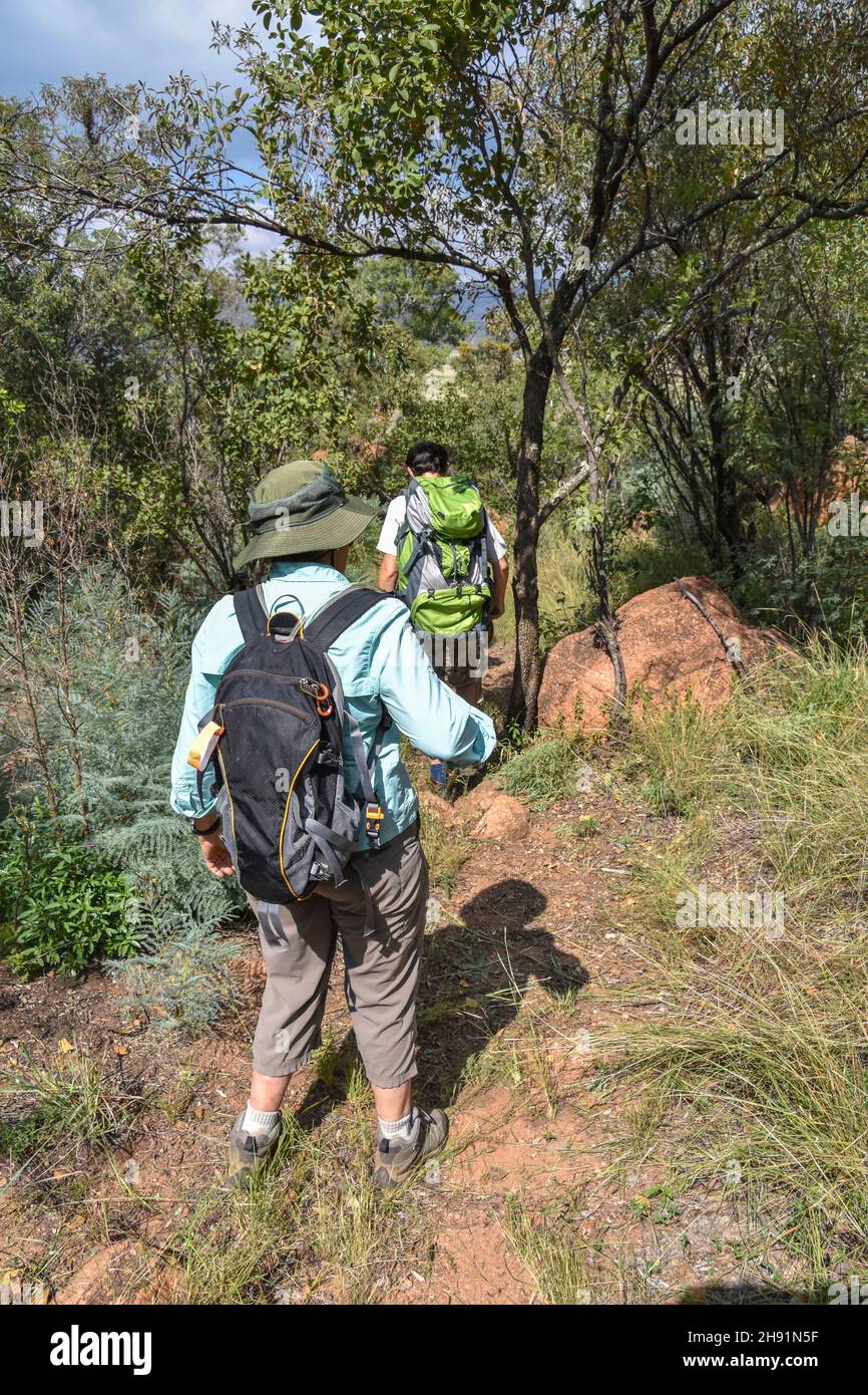 Escursionisti nei boschi di Trichardspoort River Valley, Gouwsberg Mountain Range nelle vicinanze di Bronkhorstspruit est di Pretoria Sud Africa Foto Stock