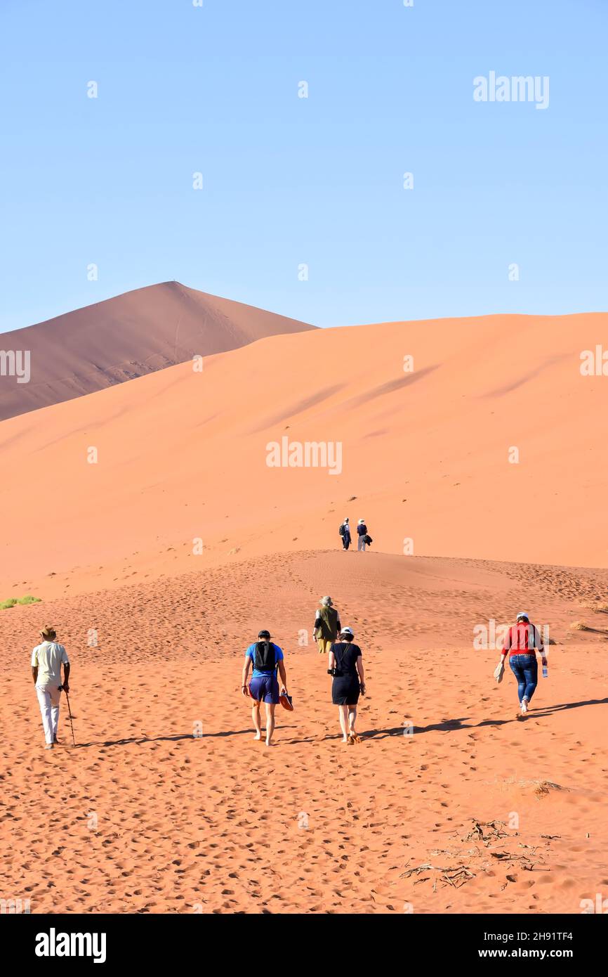 I turisti che camminano vicino alle famose dune di sabbia nell'area del parco Namib-Naukluft in Namibia Sud Africa Foto Stock