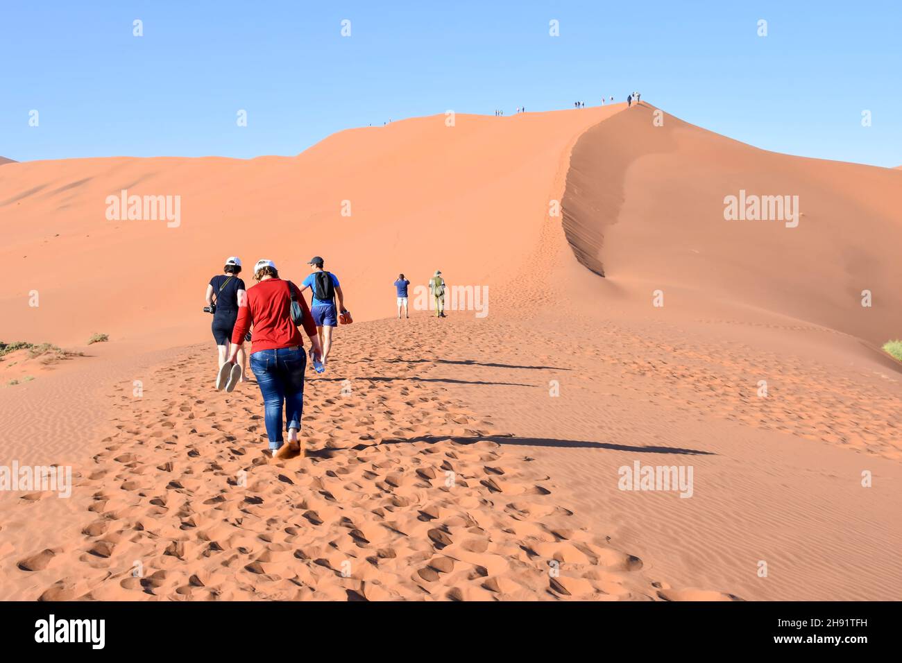 I turisti a piedi verso le famose dune di sabbia del Parco Namib-Naukluft area in Namibia Africa australe Foto Stock