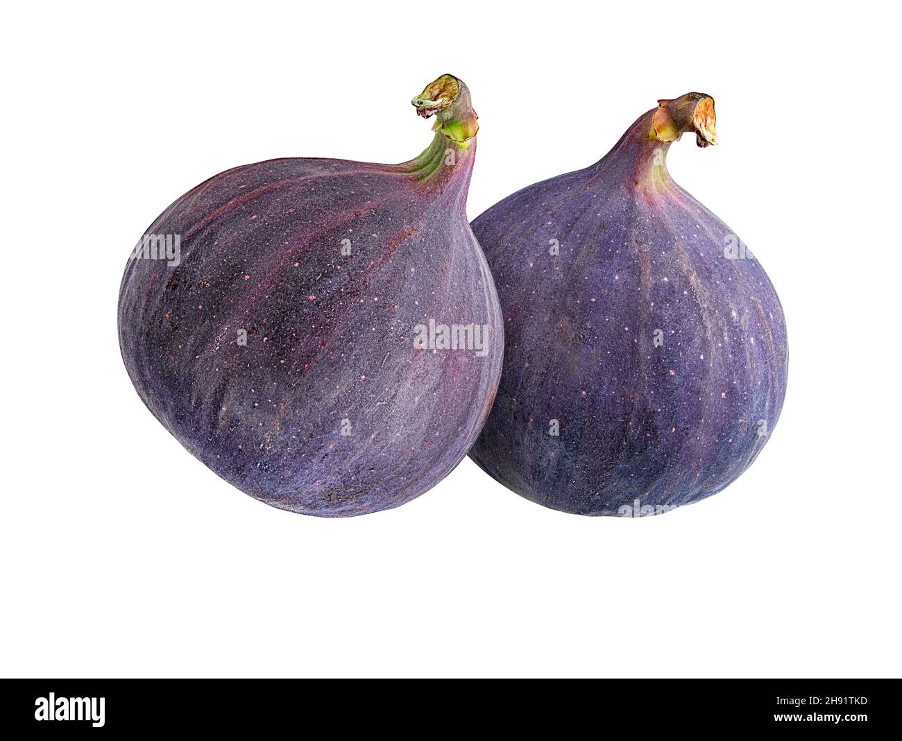 Fichi isolati su sfondo bianco. Foto Stock