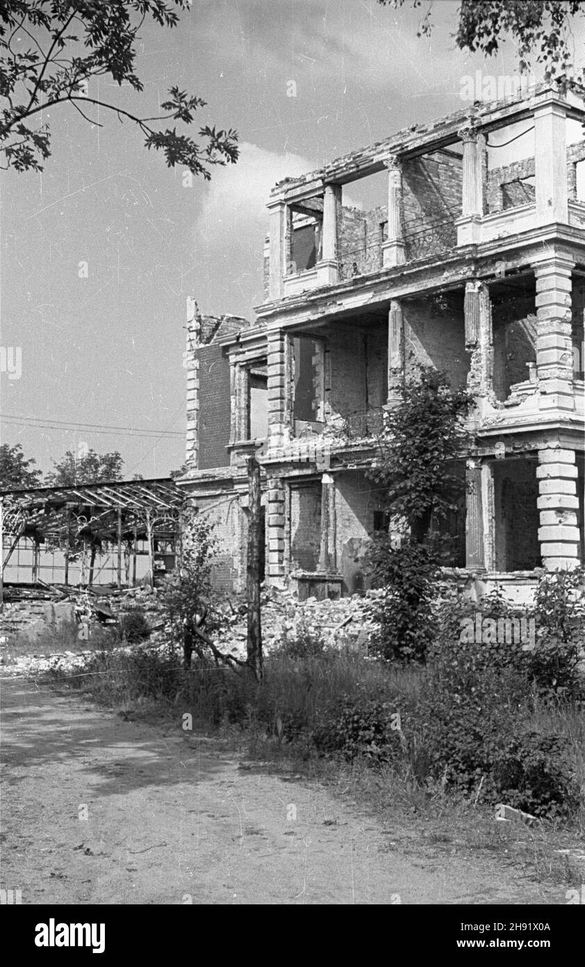 Szczecin, 1947-05. Zrujnowany dom w œródmieœciu. bb/gr PAP Dok³adny dzieñ wydarzenia nieustalony. Szczecin, maggio 1947. Rovine di una casa nel centro di Szczecin. bb/gr PAP Foto Stock