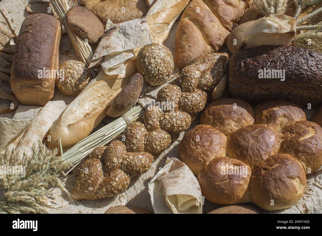 Shot ad alta angolazione di vari tipi di pane Foto Stock