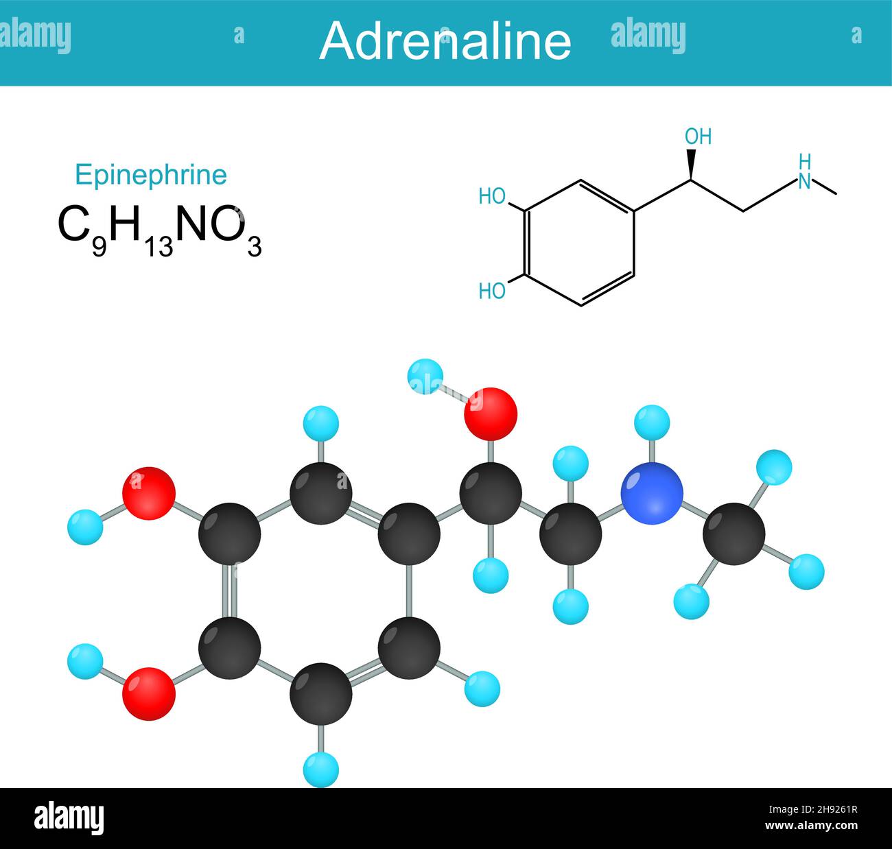 Formula di struttura chimica molecolare adrenalina e modello di un ormone epinefrinico. Illustrazione vettoriale Illustrazione Vettoriale