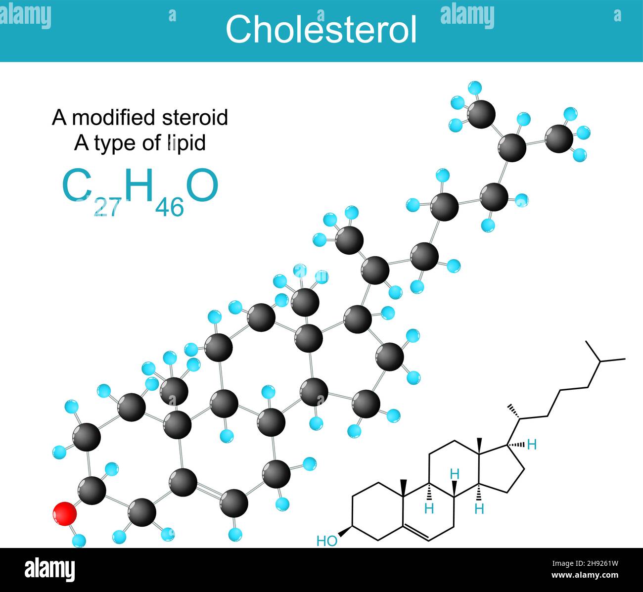 Colesterolo formula di struttura chimica molecolare e modello di uno sterolo (o steroide modificato). Tipo di lipide. Illustrazione vettoriale Illustrazione Vettoriale
