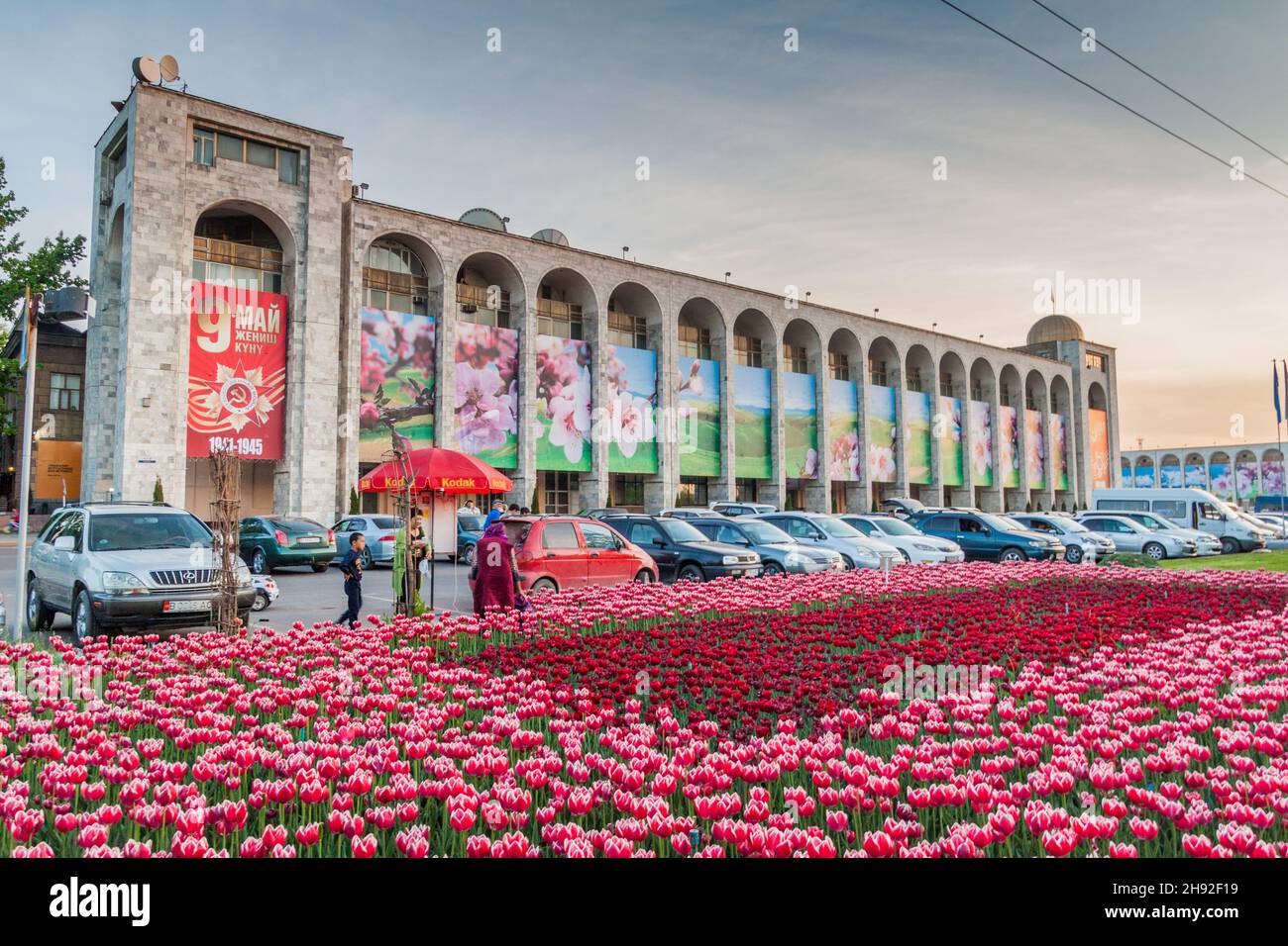 BISHKEK, KIRGHIZISTAN - 5 MAGGIO 2017: Tulipani sul viale Chuy a Bishkek, capitale del Kirghizistan. Foto Stock
