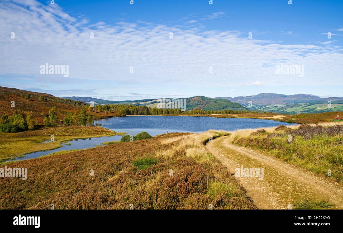 Pista che conduce al piccolo lago collinare moorland, alberi su collina, Tayside Sporting estate, Highland Perthshire, calma soleggiato clima autunnale, Scozia Regno Unito Foto Stock