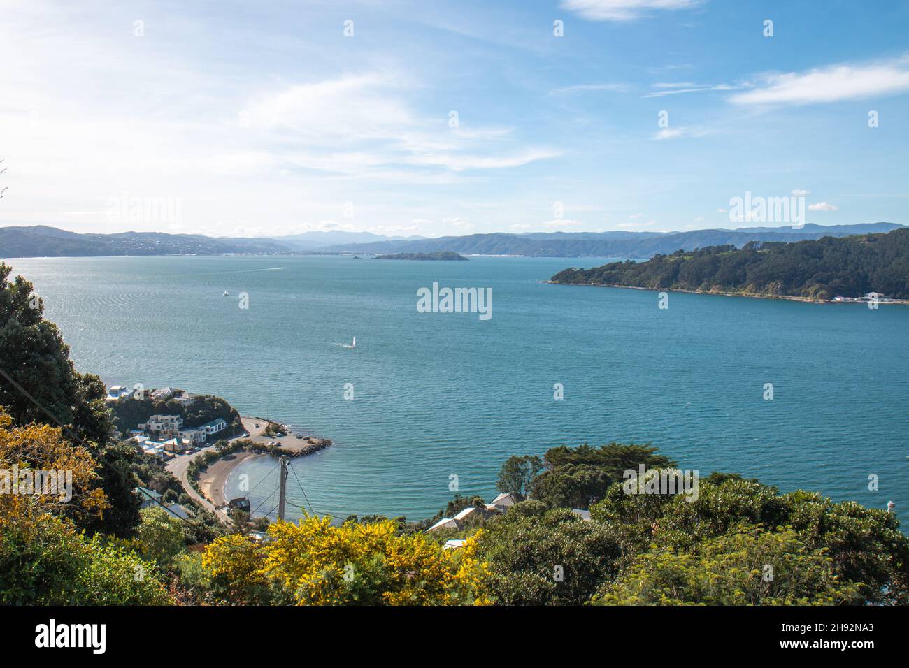 Vista su Balaena Bay e Evans Bay da Roseneath a Wellington, Nuova Zelanda Foto Stock