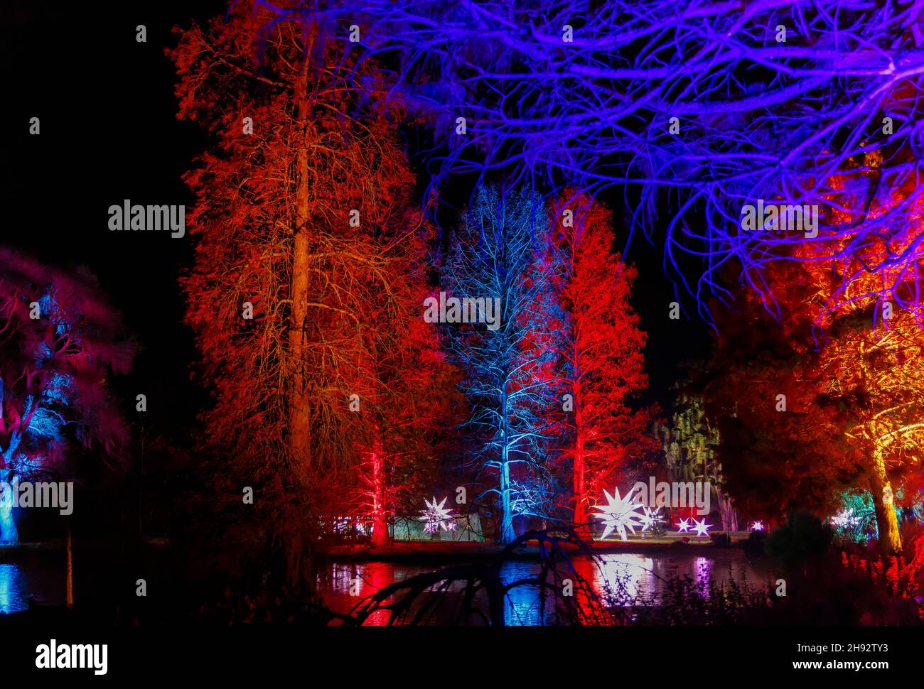 Alberi illuminati di colore al lago a Glow 2021, l'evento annuale di luci di Natale al RHS Garden, Wisley, Woking, Surrey Foto Stock