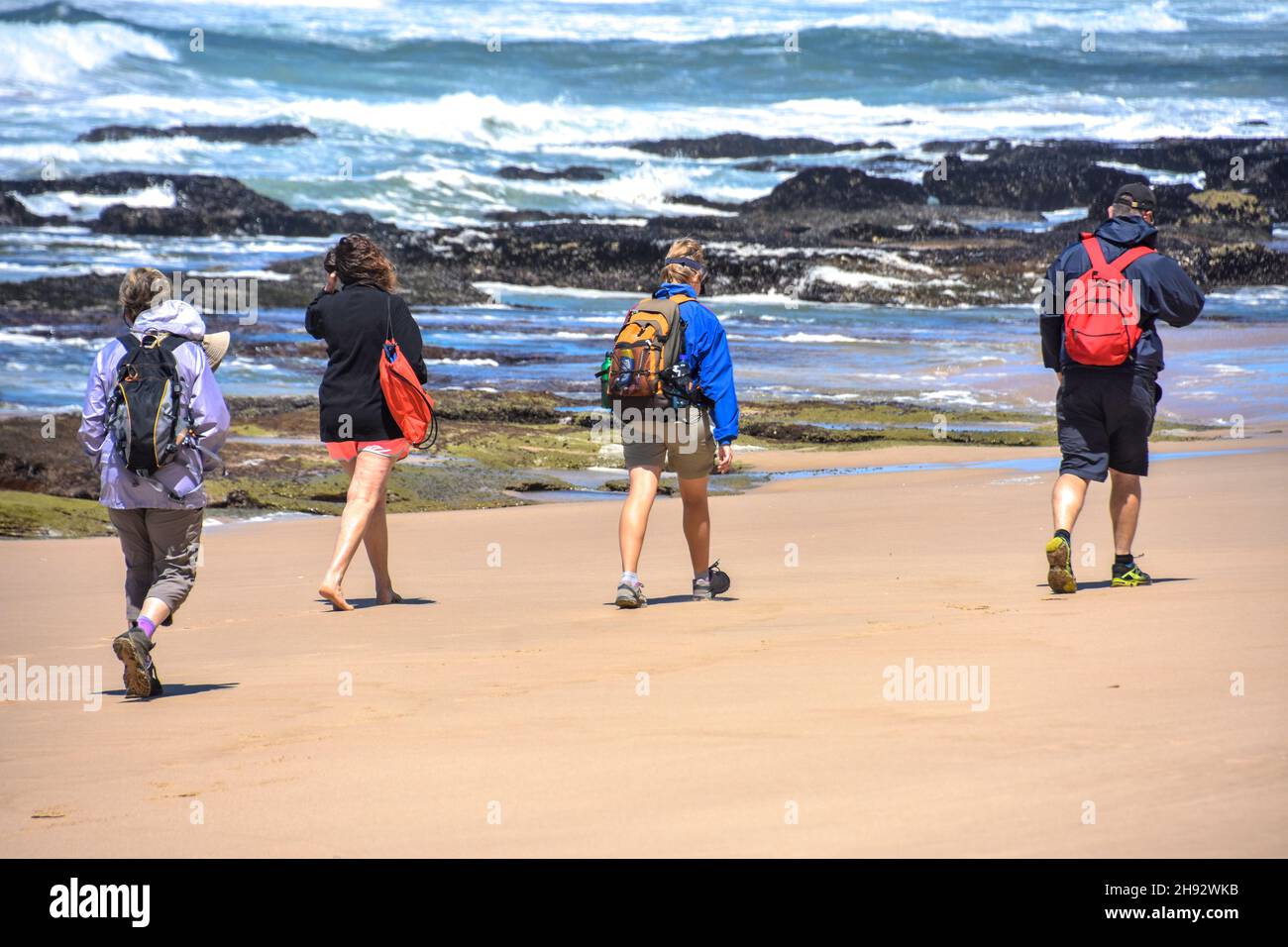 Camminatori energici sulla spiaggia vicino all'Oceano Indiano visto dal sentiero del catcher Oyster vicino a Mosselbay sulla strada del giardino in Sudafrica popolare spirito Foto Stock